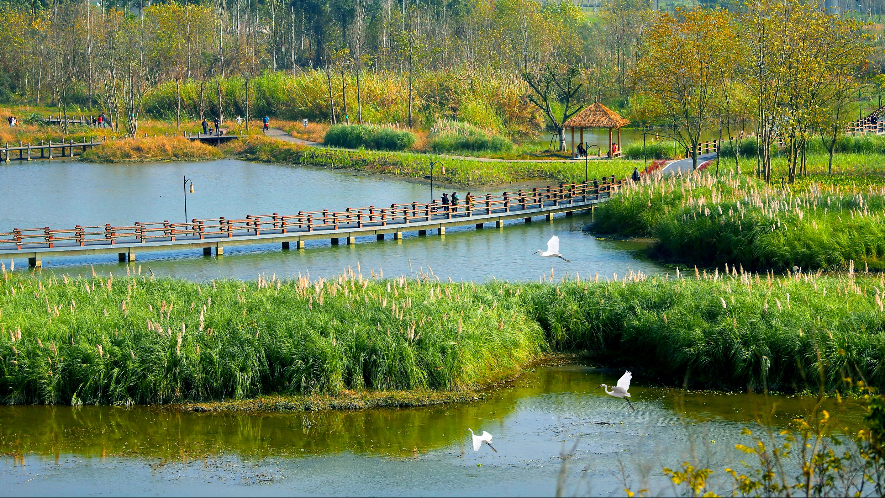 HAYU-公園IP網(wǎng)絡(luò)廣播應(yīng)用方案