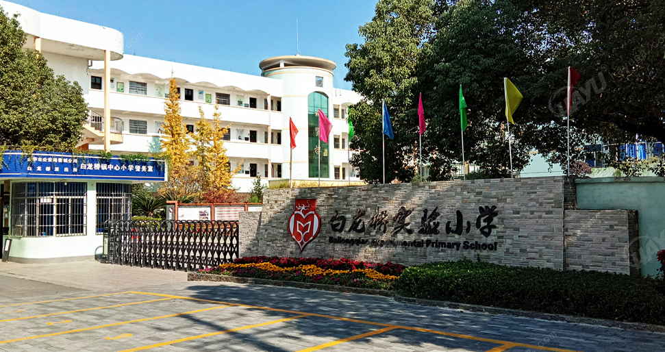 浙江金華市白龍橋?qū)嶒?yàn)小學(xué)